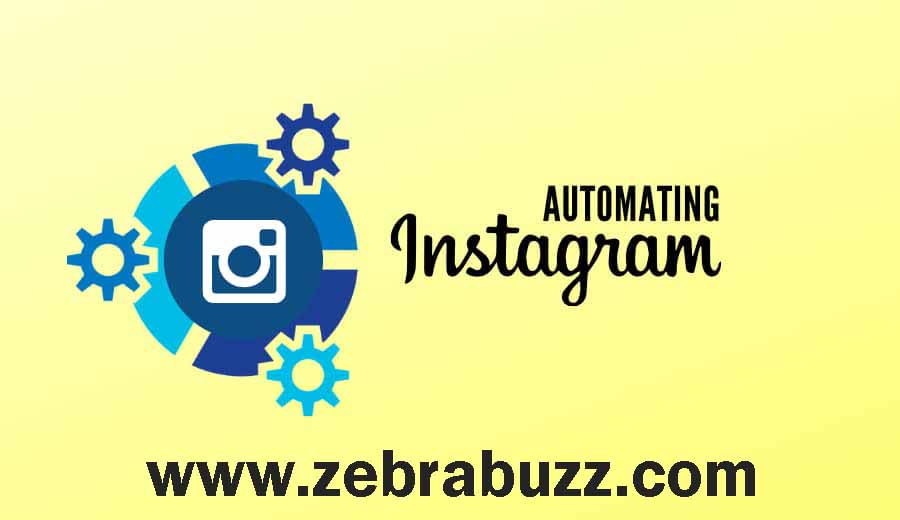 Zebrabuzz's Instagram Auto Comment Reply Feature