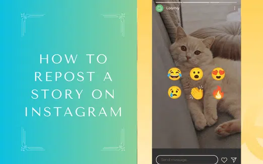 How to Repost a Story on Instagram